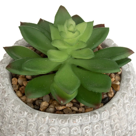 Изкуствено растение atmosphera Buddha, 13.5 cm, Различни видове