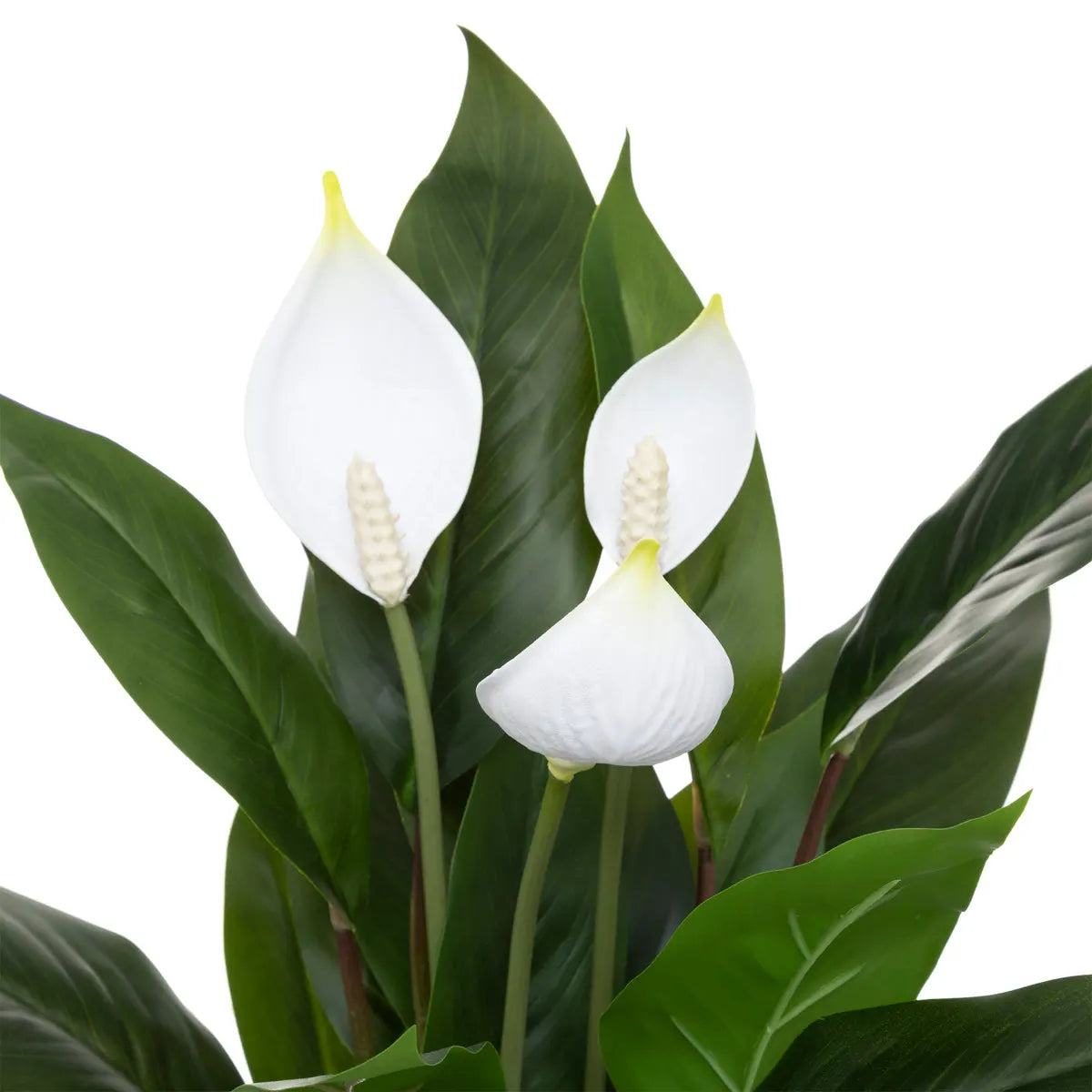 Изкуствено цвете atmosphera Peace Lily, 54 cm