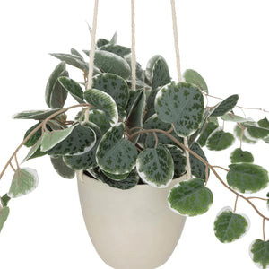 Изкуствено растение atmosphera Lour, 80 cm