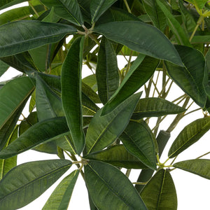 Изкуствено растение atmosphera Pachira Tree, 110 cm