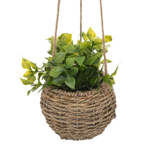 Изкуствено растение atmosphera Zoе, 17 cm, Различни видове