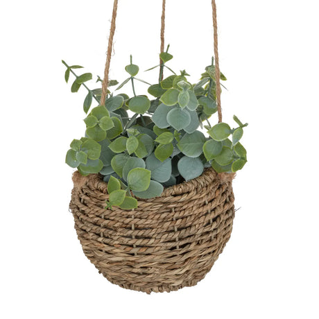 Изкуствено растение atmosphera Zoе, 17 cm, Различни видове
