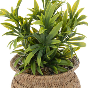 Изкуствено растение atmosphera Jiling, 20 cm