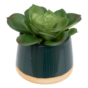 Изкуствено растение atmosphera Be Vintage, 12 cm, Различни видове