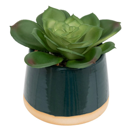 Изкуствено растение atmosphera Be Vintage, 12 cm, Различни видове