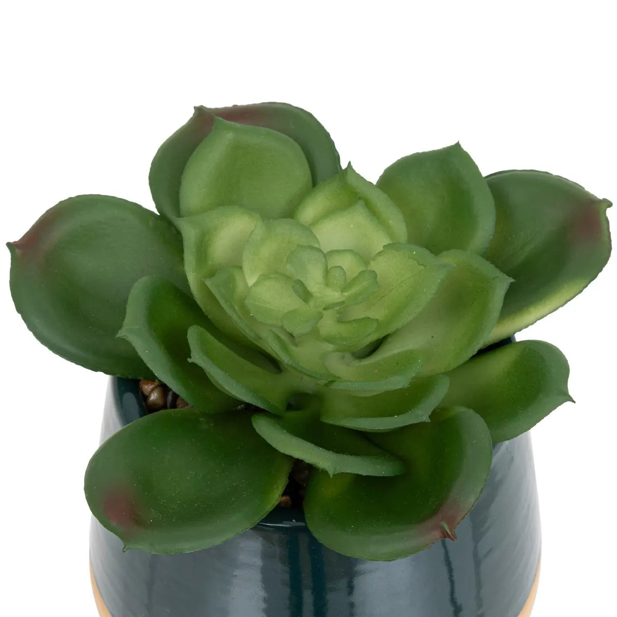 Изкуствено растение atmosphera Be Vintage, 12 cm, Различни видове