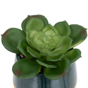 Изкуствено растение atmosphera Be Vintage, 12 cm, Различни видове