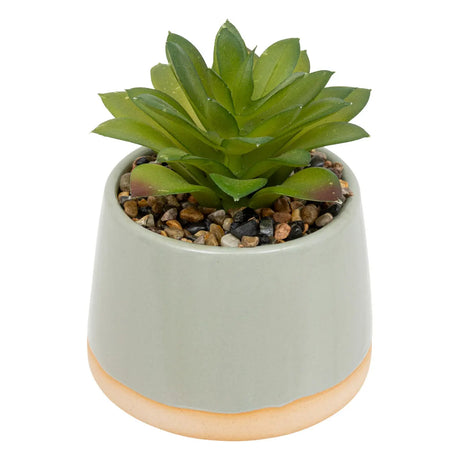 Изкуствено растение atmosphera Be Vintage, 12 cm, Различни видове