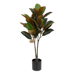 Изкуствено растение atmosphera Agnolia, 76 cm