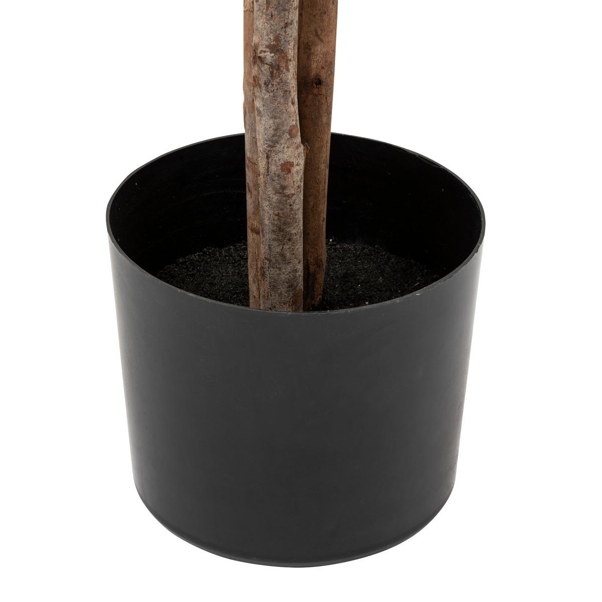 Изкуствено растение atmosphera Martin, 210 cm