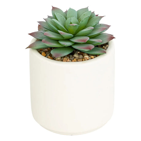 Изкуствено растение atmosphera Nils, 12 cm, Различни видове