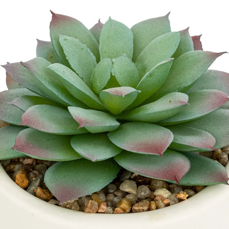 Изкуствено растение atmosphera Nils, 12 cm, Различни видове