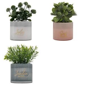 Plantă artificială Atmosphera Tayli Succulent, 18 cm, diverse specii