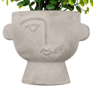Изкуствено растение atmosphera Dusty Succulent, 22 cm, Различни видове