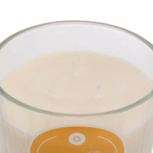 Ароматна свещ atmosphera Floa, Стъкло, 610 g