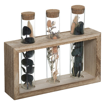 Декоративни цветя atmosphera House, 17 cm