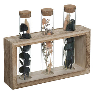 Декоративни цветя atmosphera House, 17 cm