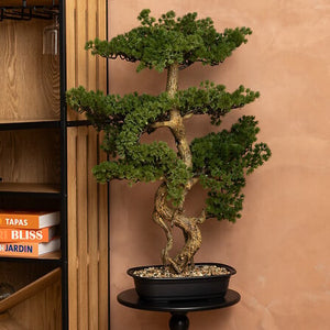 Изкуствено растение atmosphera Bonsai Polin, 86см