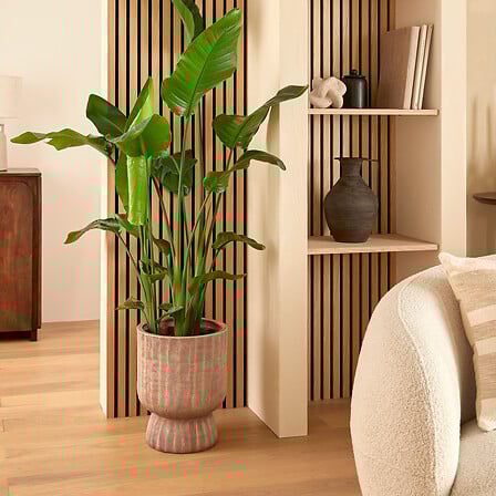 Кашпа atmosphera Romia, Керамика, Кафяв, Ø30x38 cm