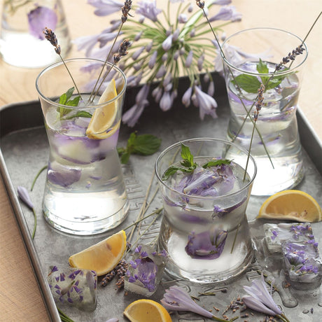 Сет чаши за коктейл LAV Derin, 350 мл, 6 бр